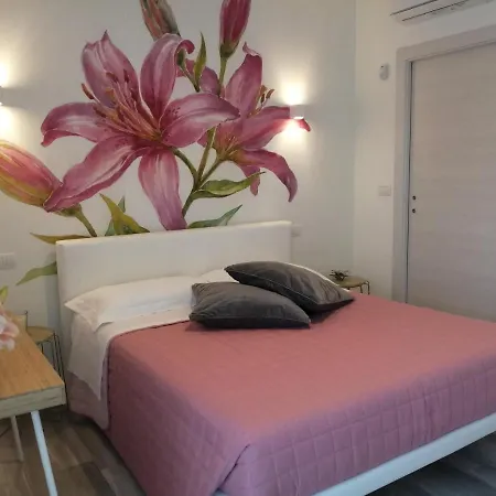 My - Casa Dei Fiori 