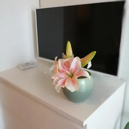 My - Casa Dei Fiori 